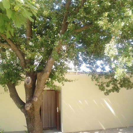 Apartments Angela Biograd Na Moru Exterior foto